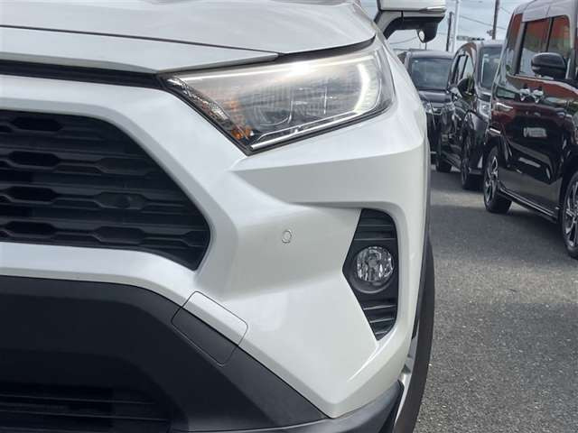 RAV42.0 X