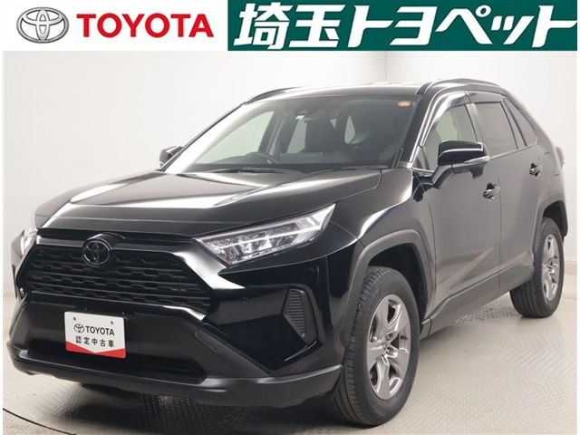 RAV42.0 X