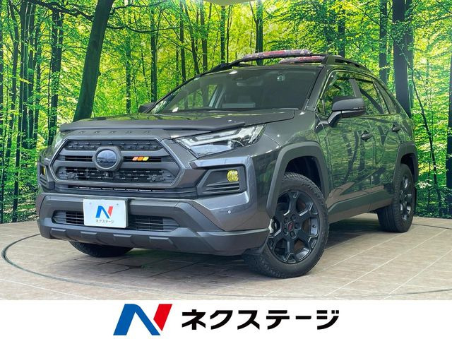 RAV42.5 ハイブリッド アドベンチャー オフロードパッケージ II E-Four 4WD