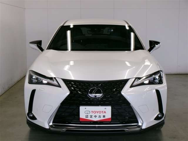 UX250h バージョンL