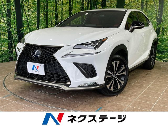 NX300h Fスポーツ