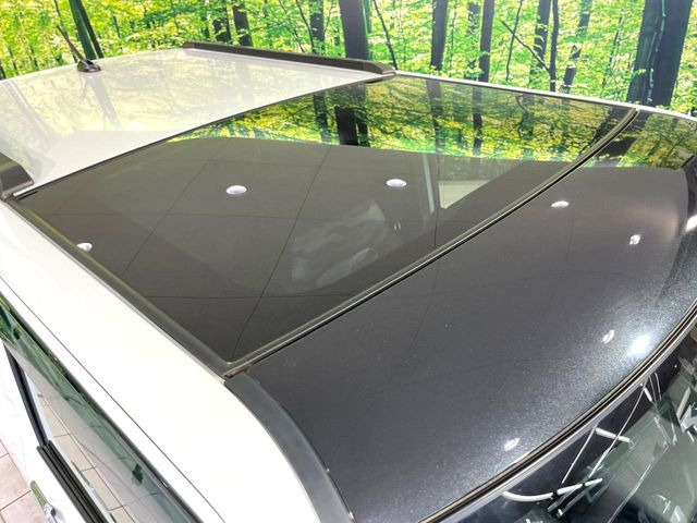 タフトG
