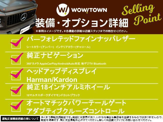 V60T5 インスクリプション