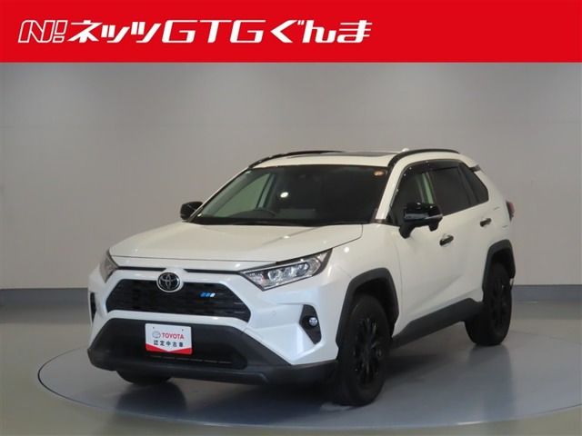 RAV42.0 X