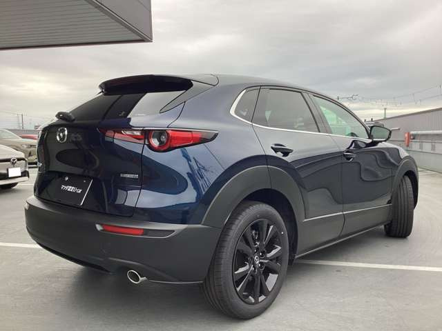 CX-301.8 XD ドライブ エディション