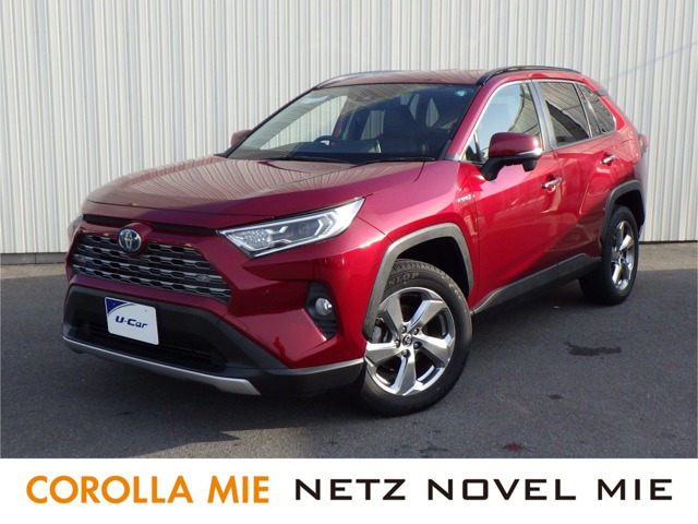 RAV42.5 ハイブリッド G E-Four 4WD