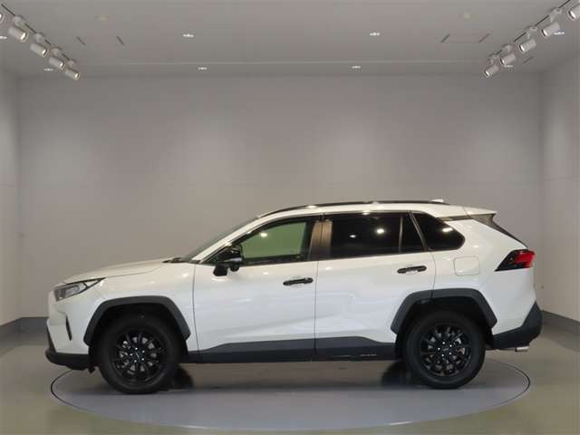RAV42.0 X