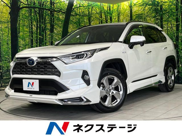 RAV42.5 ハイブリッド G E-Four 4WD
