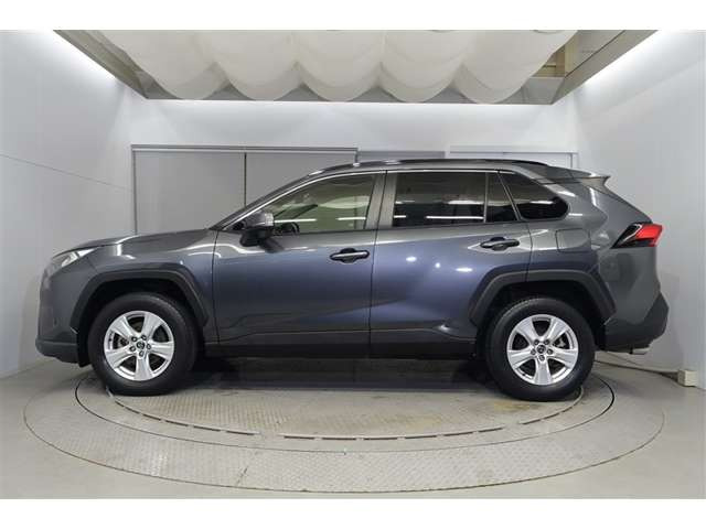 RAV42.0 X