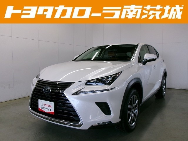 NX300h バージョンL