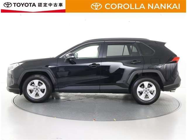 RAV42.0 X