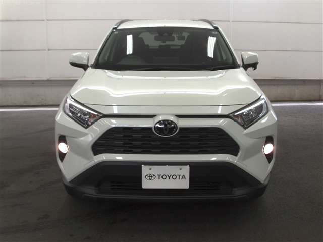 RAV42.0 X