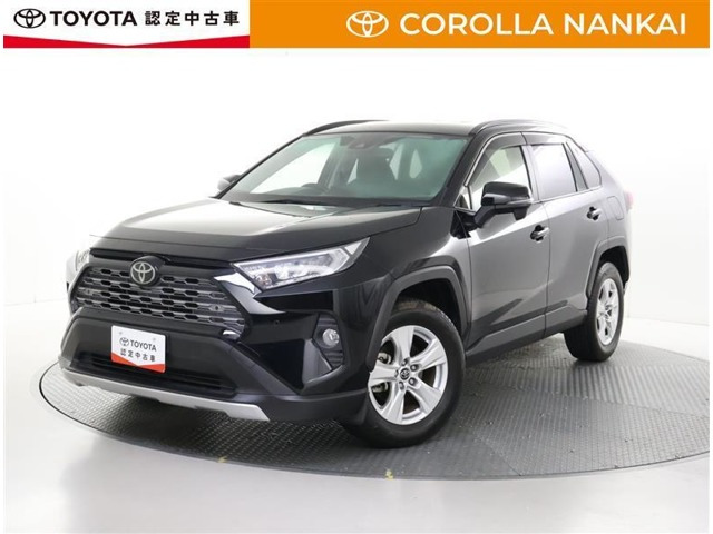 RAV42.0 X
