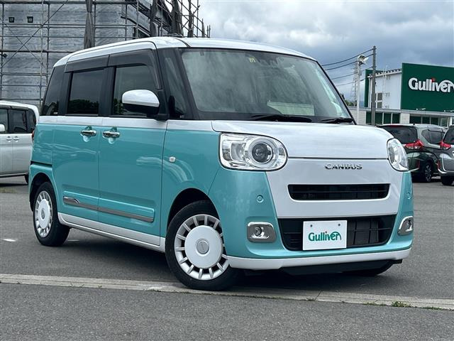 ムーヴキャンバスストライプス G
