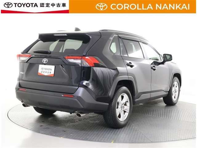 RAV42.0 X