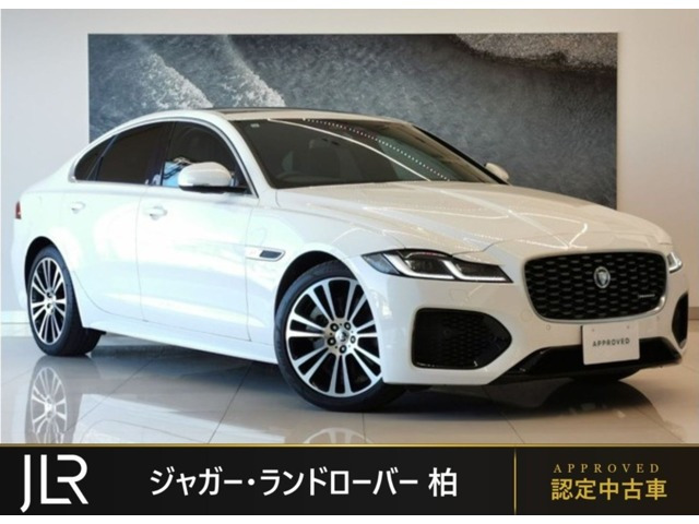 XFRダイナミック SE 2.0 P250
