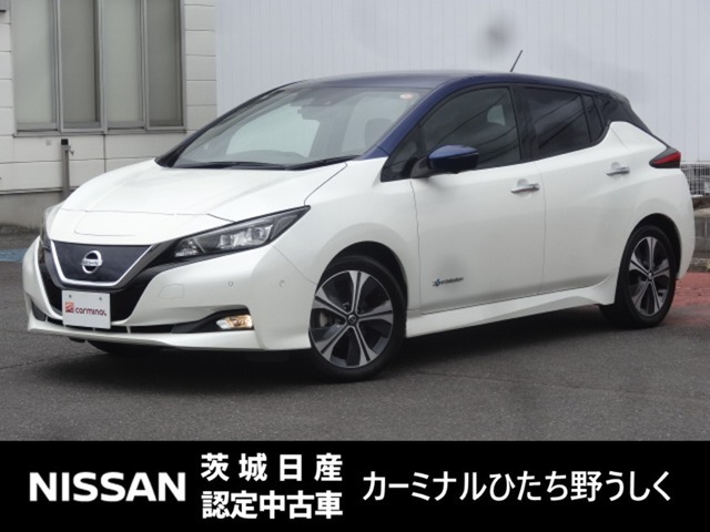リーフG