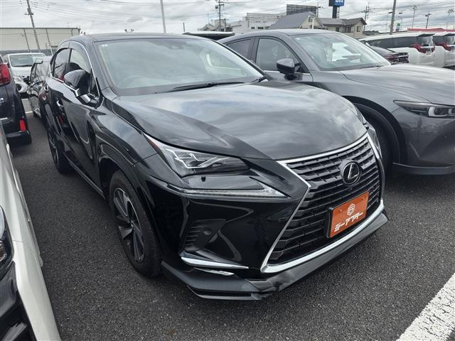 NX300 スパイス&シック