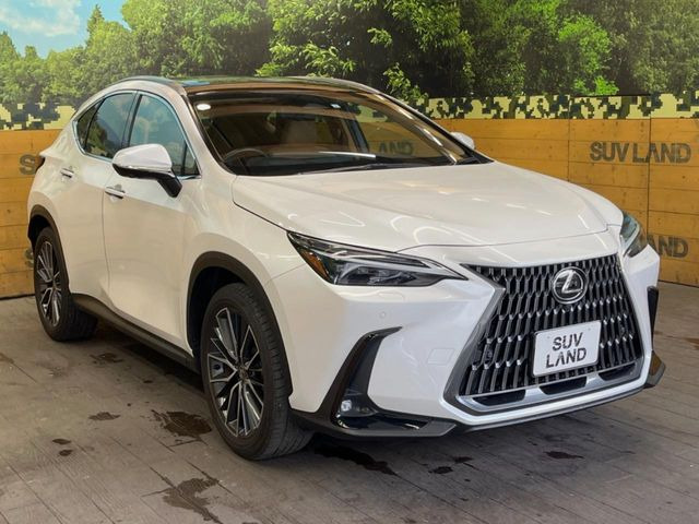 �������x�̃K���X�疌�ŝ����͂������A�㎿�ȃc���E����������B���O����_���J�����؂Ȉ��Ԃ�ی삵�A�F�����E�򉻂�h�~�B�u�e�X�v���b�V���R�[�g�v�A�u�e�v���~�b�T�R�[�g�v���炨�I�т��������܂��B