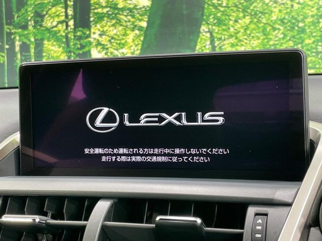 NX300h Fスポーツ