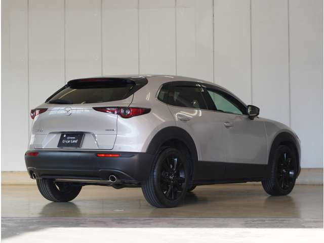 CX-302.0 20S