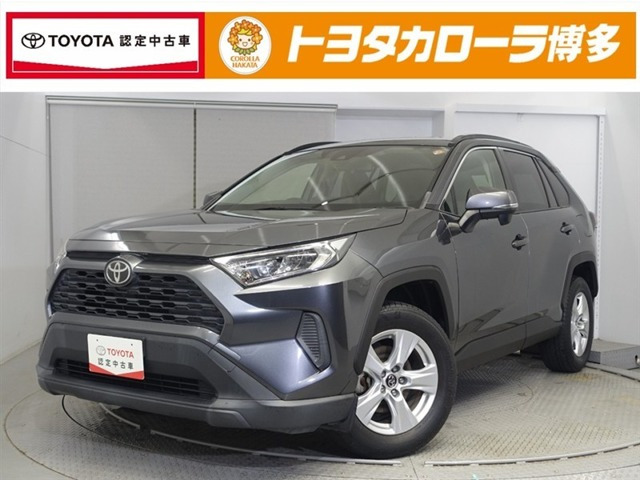 RAV42.0 X