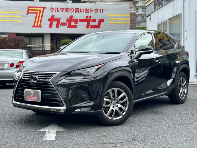 NX300 バージョンL