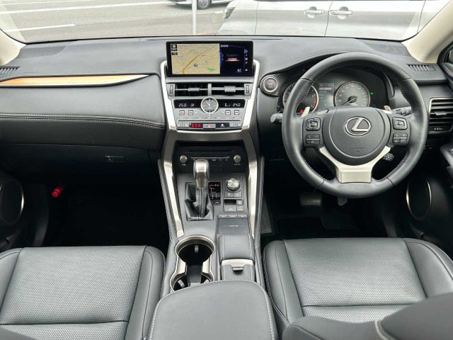 NX300 バージョンL