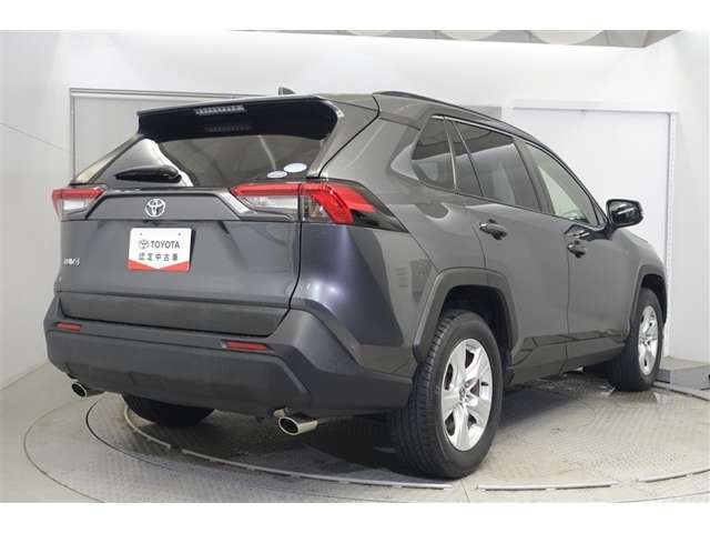RAV42.0 X
