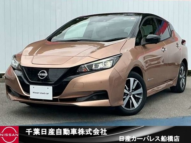 リーフX