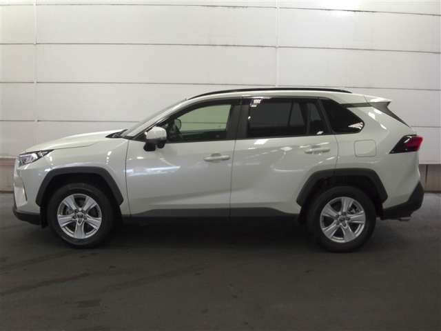 RAV42.0 X