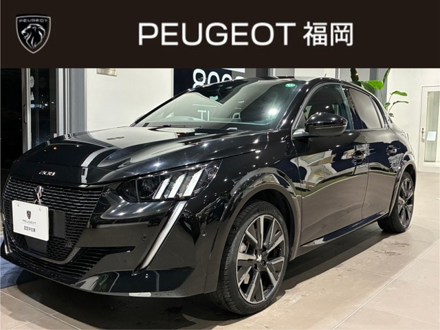 e-208GT