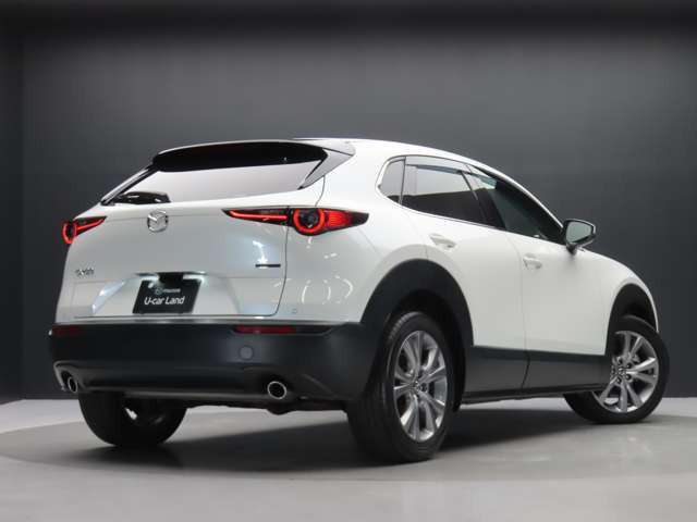 CX-301.8 XD Lパッケージ