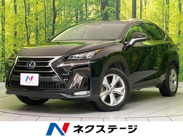 NX300h バージョンL