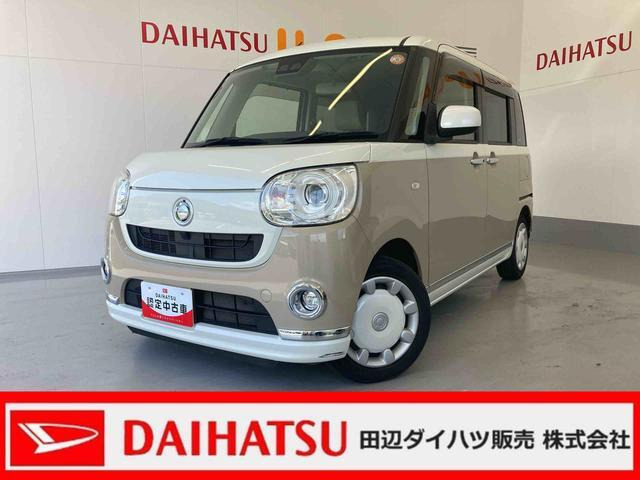 ムーヴキャンバスG メイクアップ SAIII