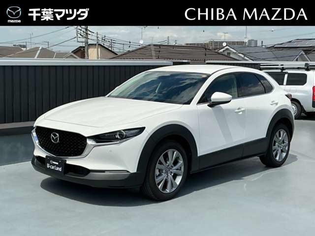 CX-302.0 20S プロアクティブ ツーリングセレクション 4WD