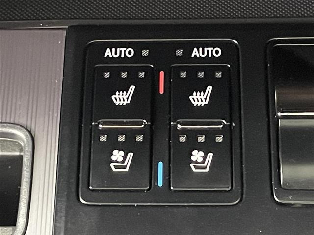 RX300 Fスポーツ