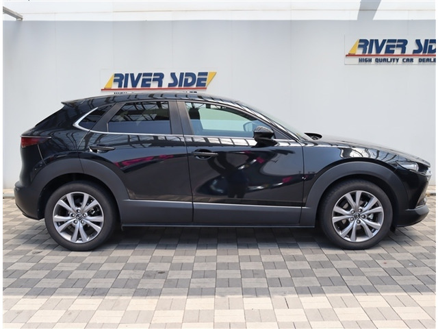 CX-302.0 20S