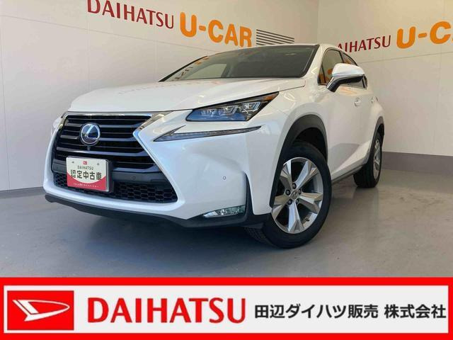 NX300h バージョンL