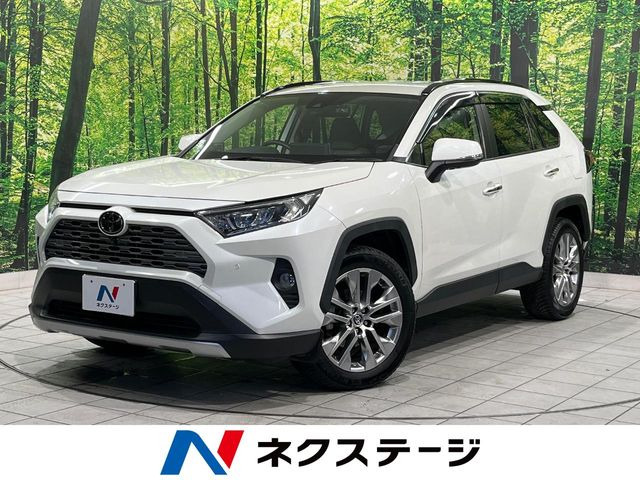 RAV42.0 G Zパッケージ 4WD