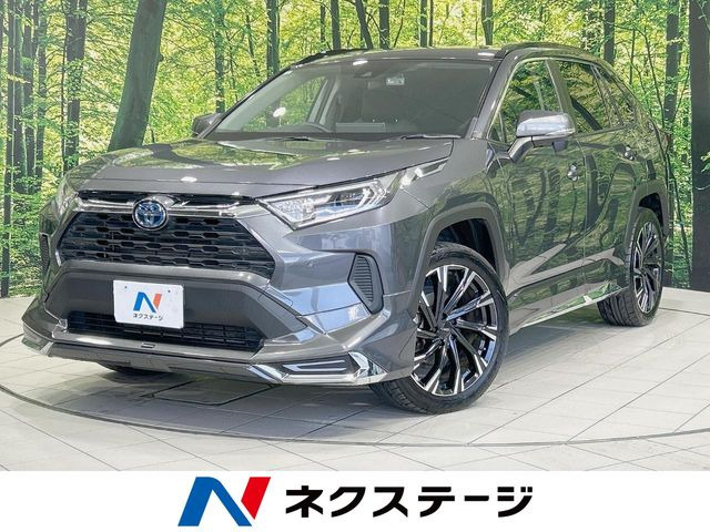 RAV42.5 ハイブリッド X