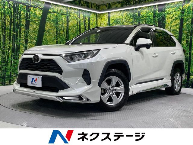RAV42.0 X
