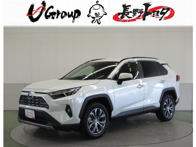 RAV42.5 ハイブリッド G E-Four 4WD