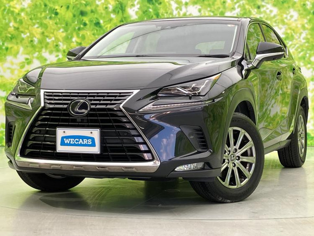 NX300h Iパッケージ