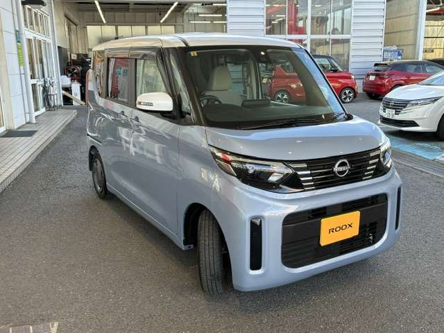 デイズルークスX