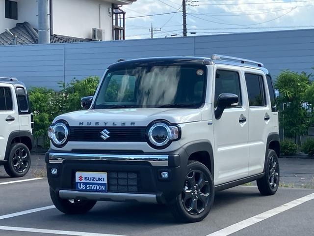 ハスラータフワイルド