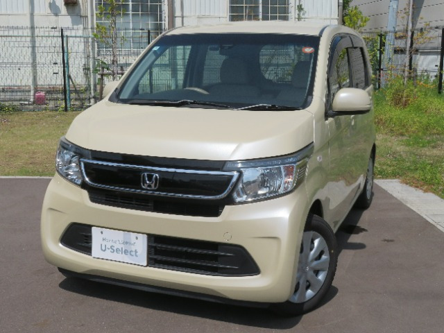 N-WGNG