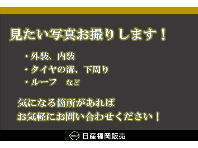 リーフe+ G