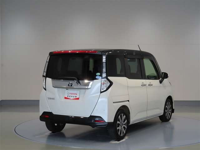 タンク1.0 カスタム G-T