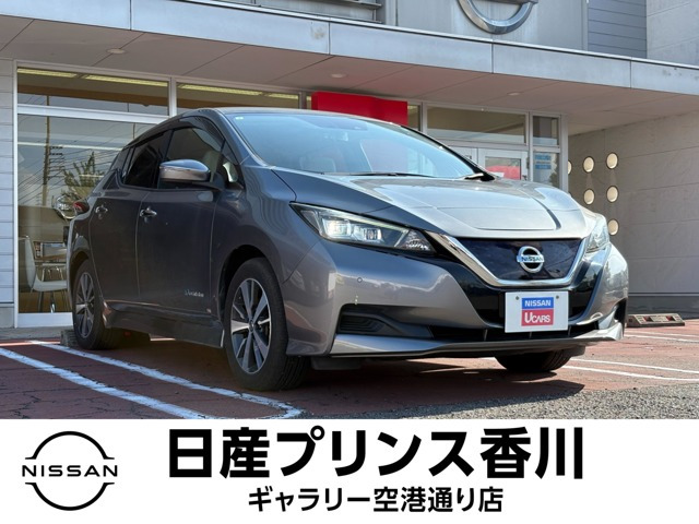 リーフX